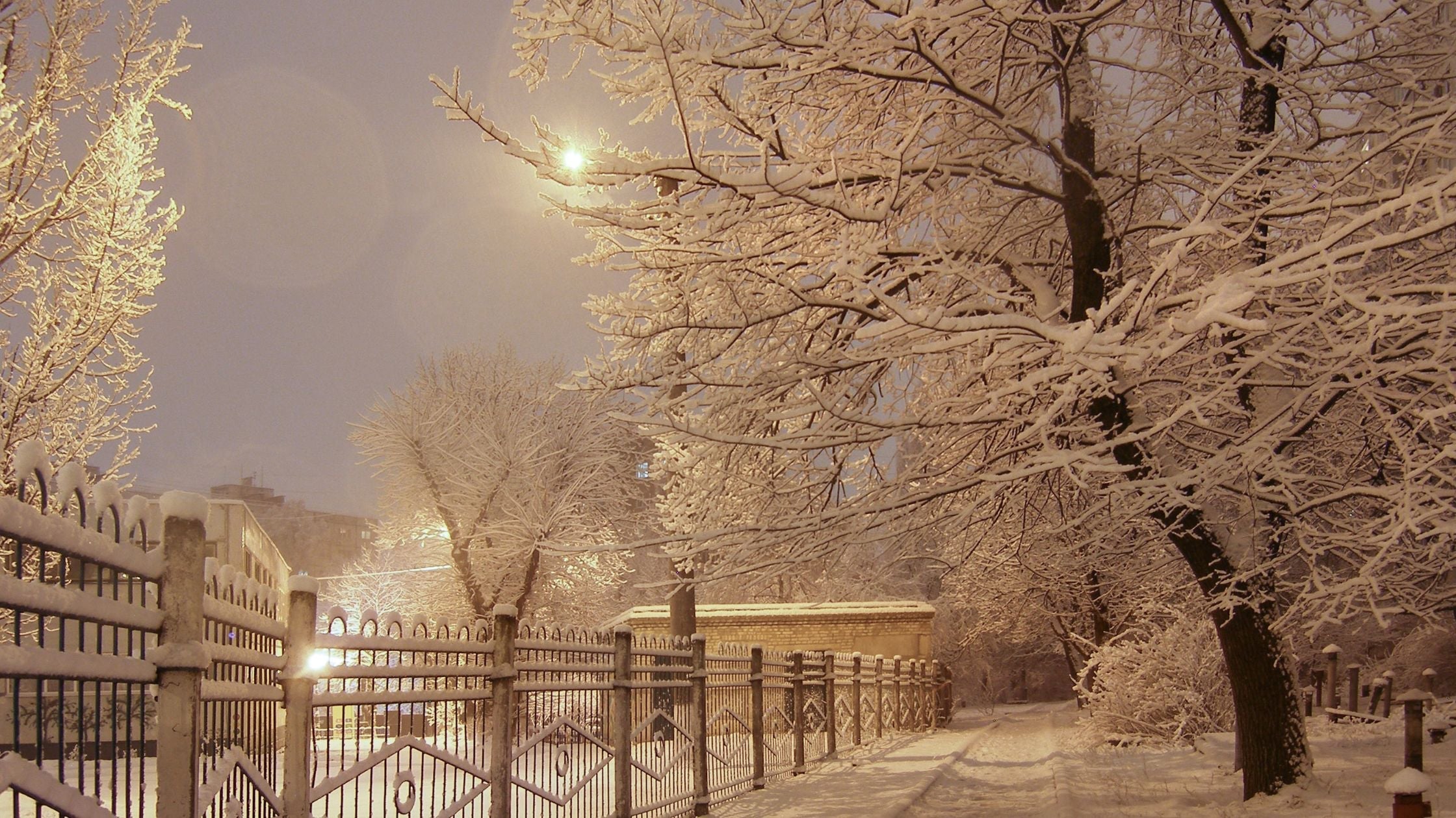 Winter evenings, softer thoughts